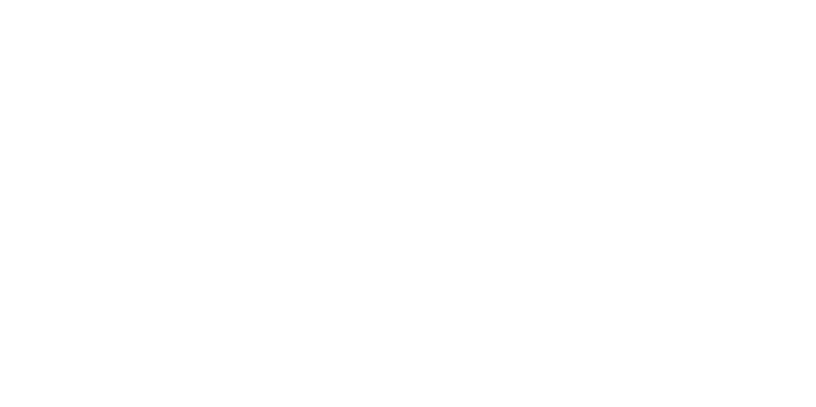 Pedro Netto